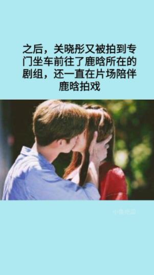 动物帮帮忙保卫家园